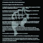 sarahyearinreview_news_oxyunitedforblackliberation-copy