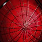 bdsm_culture_darylbarker-1-9-sized