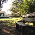 NatureStudySpots_CULTURE_MariaSalter (10)