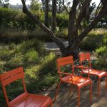 Naturestudyspots_CULTURE_SpencerPatrick12