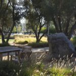 Naturestudyspots_CULTURE_SpencerPatrick13