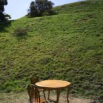 Naturestudyspots_CULTURE_SpencerPatrick2