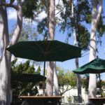 Naturestudyspots_CULTURE_SpencerPatrick5