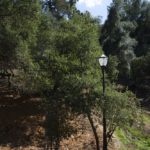 Naturestudyspots_CULTURE_SpencerPatrick7