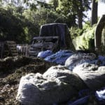 FEATURES_compostrecycle_SpencerPatrick2