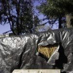 FEATURES_compostrecycle_SpencerPatrick4