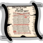 Opinions_ASOCConstitution_AdrianaPera