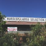 Invasive_Mosquitos.COMMUNITY NEWS.GracePozen03-COLOR