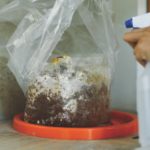 NewArtistinResidence_CULTURE_Arnold4