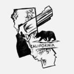 GunLaws_Opinions_AliceFeng