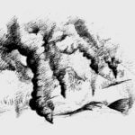 WildFires_AliceFeng_Culture