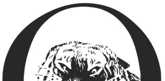 The Occidental wins seven awards including Best Newspaper from California College Media Association