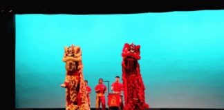 Lunar New Year Gala connects Chinese community