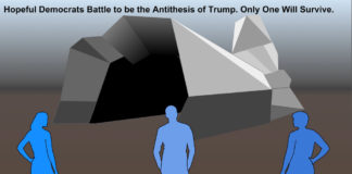 Why the 2020 election will not resolve the Democratic Party’s identity crisis