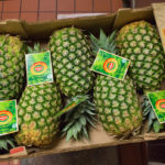 BeforeYouWakeUp_FEATURES_MatthewVanBronkhorst-10