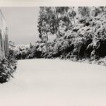 ThenandNow.CULTURE.GracePozen07