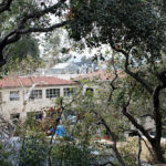 ThenandNow.CULTURE.GracePozen10