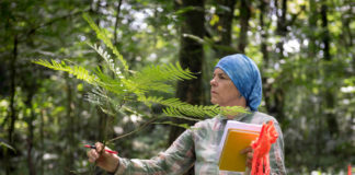 Bio faculty conduct research from the top of the canopy to the bottom of the ocean