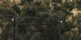 Occidental baseball bounces back against Cal Lutheran, moves to third