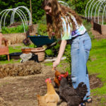 Meetthechickens_FEATURES_VictoriaWinter7