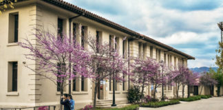 Occidental’s architecture and the creation of an experience