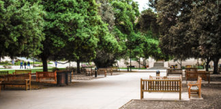 New student representatives selected for Equity and Justice Committee