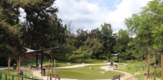 New dog park, veterinary clinic aim to make Eagle Rock more dog friendly