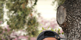 Tyler Webb takes second in the 100-meter, qualifies for nationals