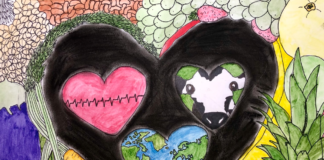 Eat to reflect your values: Why meat contributes to climate change