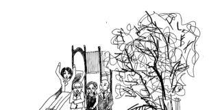 Andrew Yang’s got that thang