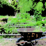 ERHSGarden_COMMUNITY_MeghanLee3