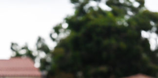 Contested calls lead to football’s loss on the road