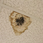 HealthHazards_NEWS_AmirahAl-Sagr10