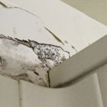 HealthHazards_NEWS_AmirahAl-Sagr9