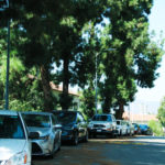 HowStudentGetAround_FEATURES_DanaDveris10pg