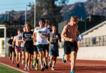 Cross country finishes season at NCAA Regional Championship meet