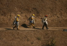 LAFD extinguishes grass fire on Mount Fiji near Yosemite Recreation Center