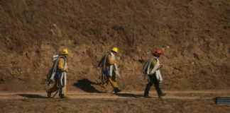 LAFD extinguishes grass fire on Mount Fiji near Yosemite Recreation Center