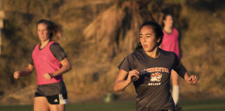 From gym to JSTOR, student-athlete-researchers make the most of their college careers