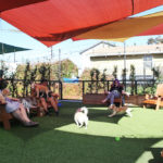 MuddyPaw_CommNews_Kathy7