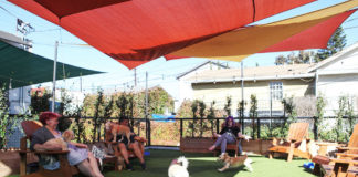 Muddy Paw Coffee bonds Eagle Rock community with puppies and coffee