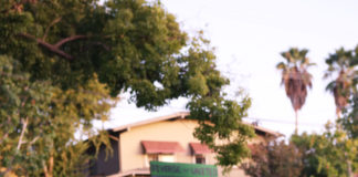 Presidential search committee gathers student feedback