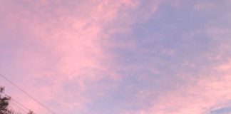 Our editors’ inside scoop on LA’s best hangouts