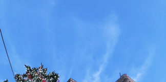 Professor Frank’s last trip to Italy marks the end of an era