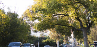 Campus Safety resorts to booting cars to address parking violations