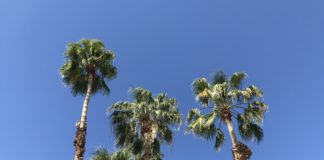 Letter from the Coachella Valley