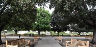 College sexual misconduct reported at rates three times higher than comparable period in 2019