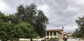 Department of Education Title IX changes lead to new interim sexual misconduct protocols