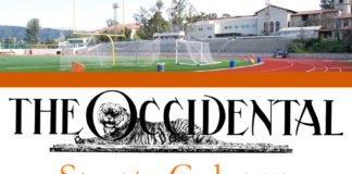 Sports can still be influential, even if they’re not being played