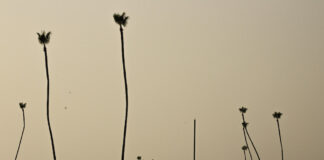 Opinion: I lost my home in the 2017 California wildfires. That should not be the new normal.